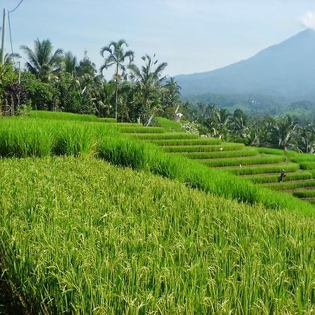 Zen Rooms Badung Nyangnyang Sari Kuta Lombok Eksteriør billede